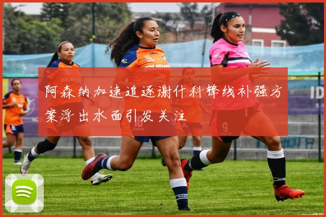 阿森纳加速追逐谢什科锋线补强方案浮出水面引发关注